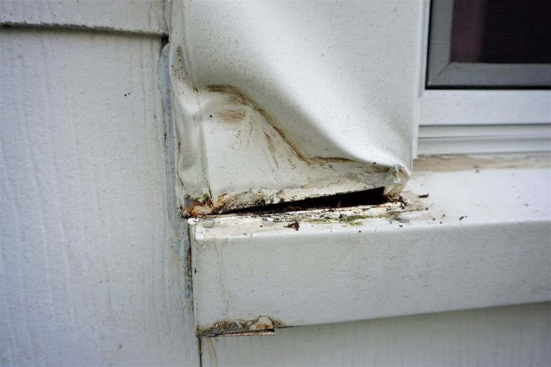 Exterior Wood Damage